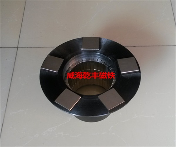 Special-shaped custom magnet